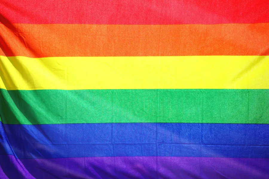 Vlag Regenboog bij GrappigSpul