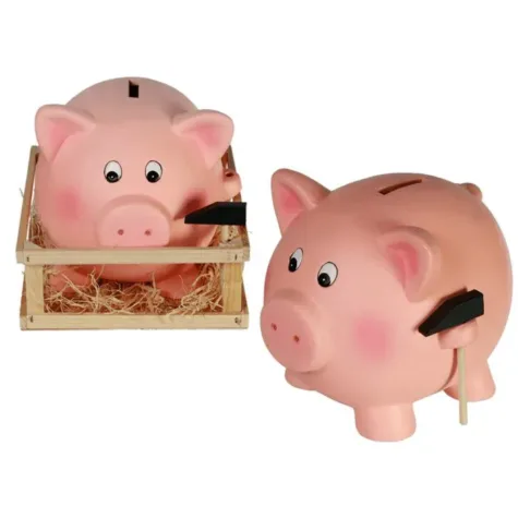 Spaarpot Varken Jumbo bij GrappigSpul