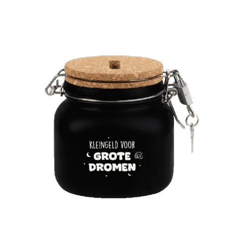 Luxe Spaarpot - Grote dromen bij GrappigSpul