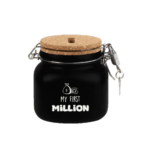 Luxe Spaarpot - My first million bij GrappigSpul